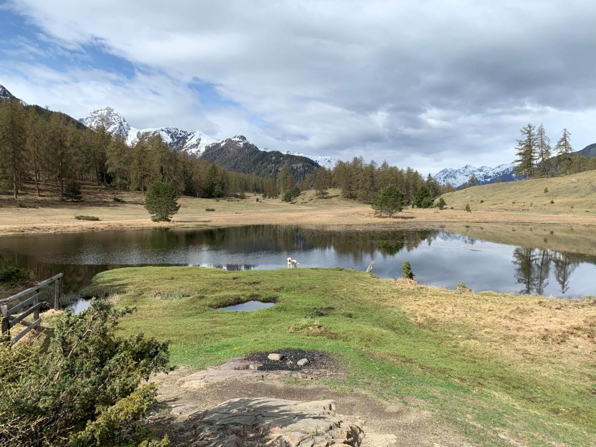 Chasa Bazzi Apartment Scuol Bagian luar foto